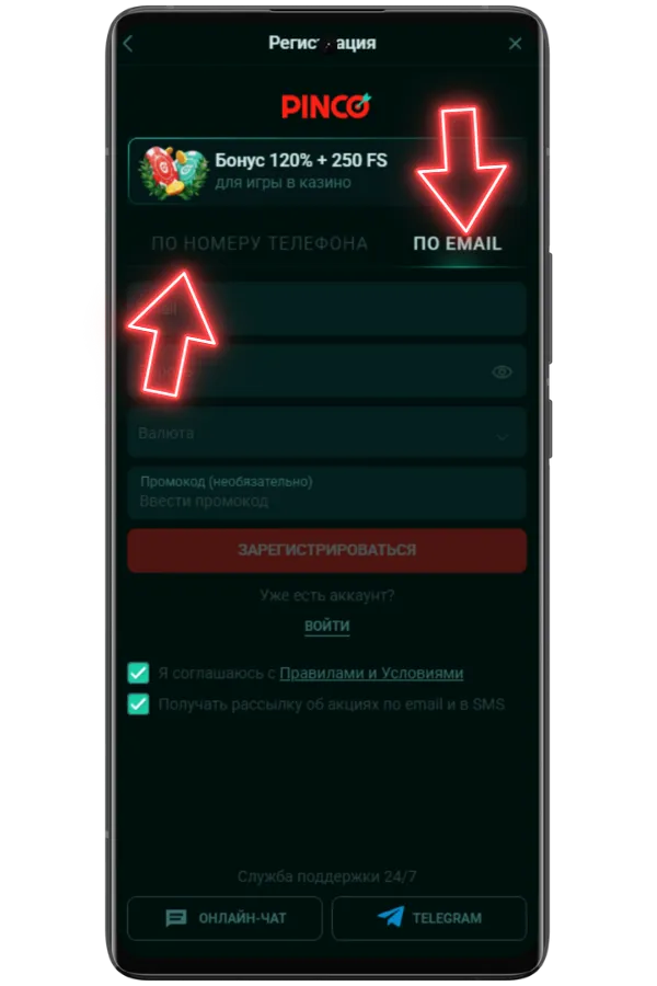 Введите данные