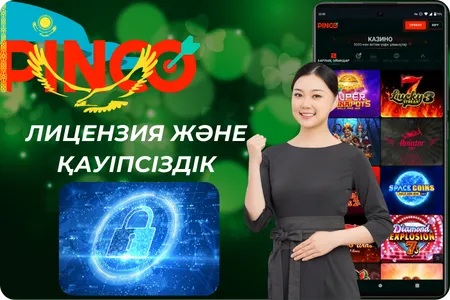 Лицензия және қауіпсіздік Pinco